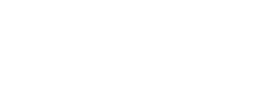 Bluefin Logo

