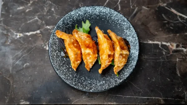 Gyoza
